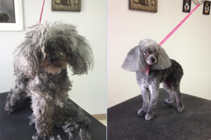 Grooming example